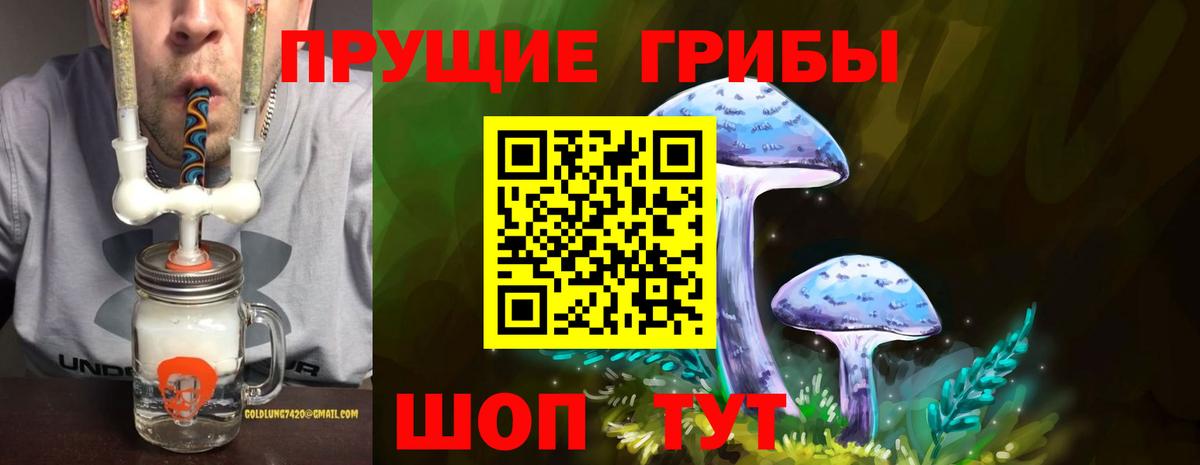 Аксай  Псилоцибиновые грибы мухоморы  Вход с VPN 